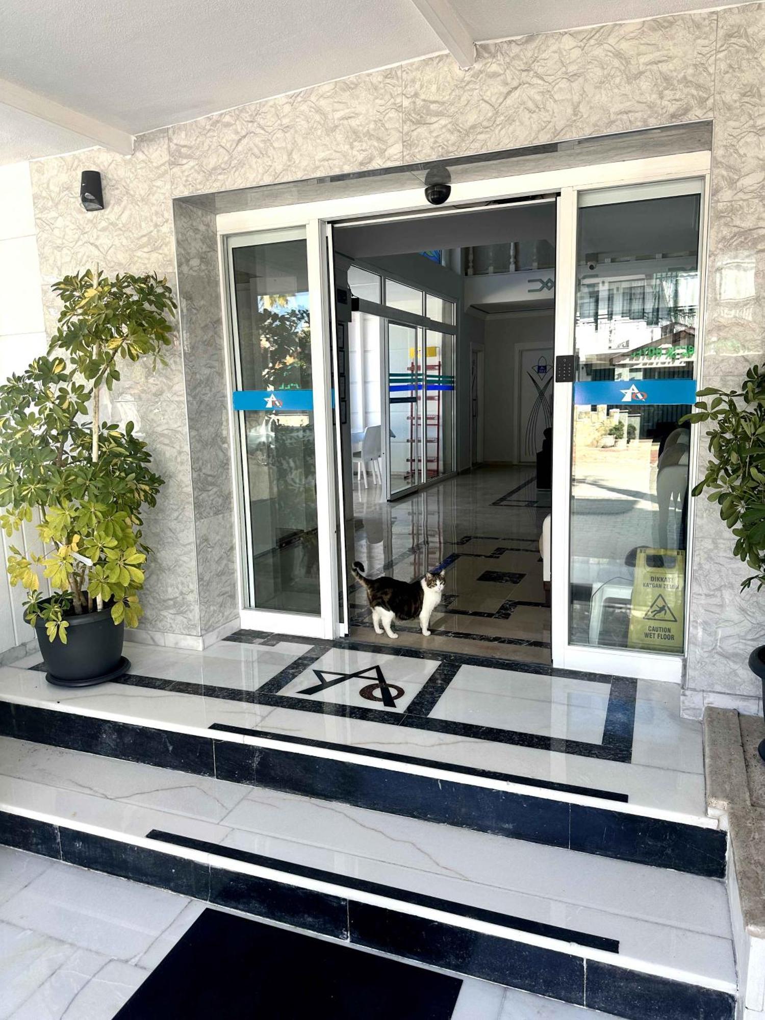 Amsterdam Boutique Hotel Kemer Exterior foto